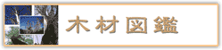 �؍ސ}��